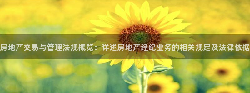 缅甸和记官网：房地产交易与管理法规概览：详述房地产经纪业务的