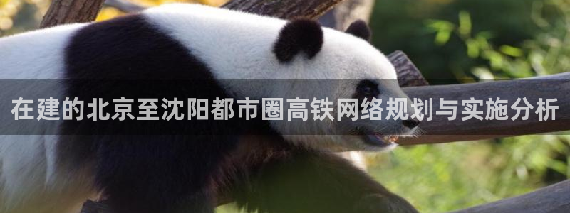 和记唯一官网：在建的北京至沈阳都市圈高铁网络规划与实施分析
