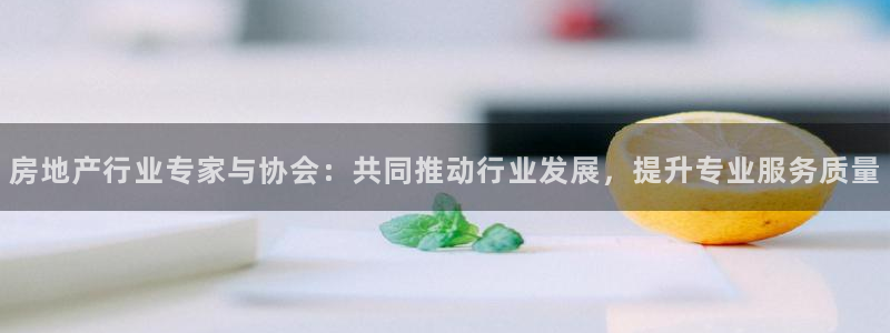 和帆记加盟官网：房地产行业专家与协会：共同推动行业发展，提升