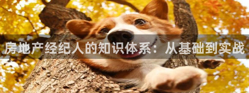 上海和记官网：房地产经纪人的知识体系：从基础到实战