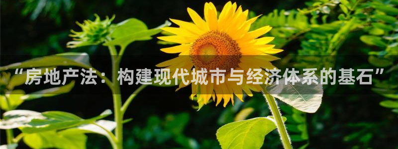 和记平台网站官网