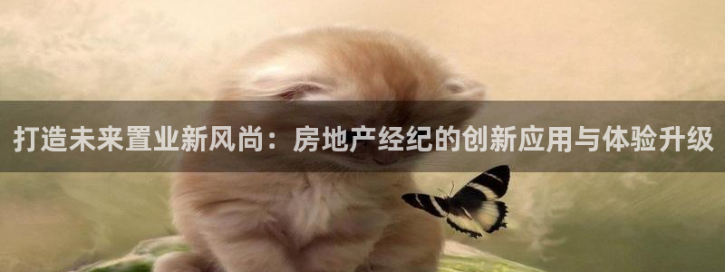 和记万佳国际家居城官网：打造未来置业新风尚：房地产经纪的创新