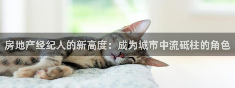 和记开户官网：房地产经纪人的新高度：成为城市中流砥柱的角色