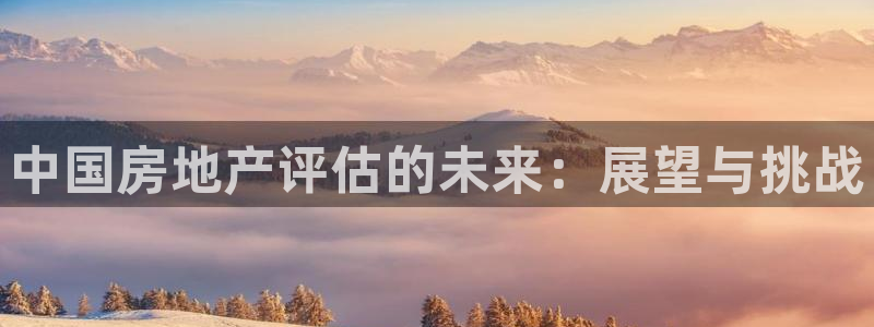 和记黄埔药业官网：中国房地产评估的未来：展望与挑战