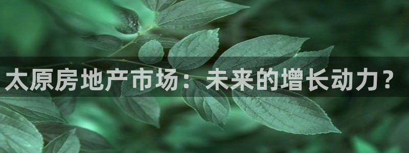 香港和记电讯公司官网：太原房地产市场：未来的增长动力？