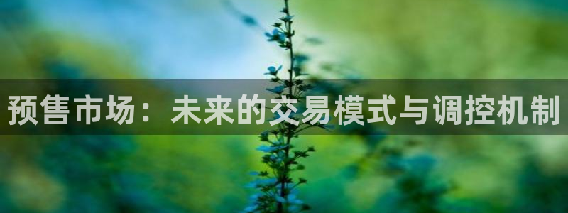 白云 和记黄埔官网电话：预售市场：未来的交易模式与调控机制