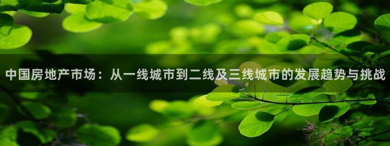 和记官网手机新版app下载：中国房地产市场：从一线城市到二线
