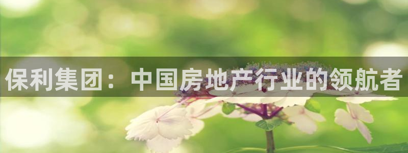 和行记义工网官网：保利集团：中国房地产行业的领航者