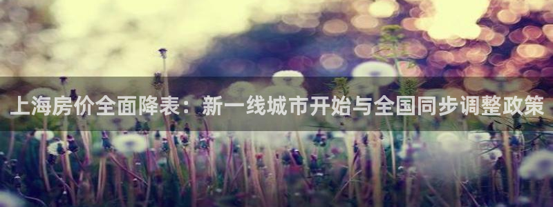 郑州和记酒业官网：上海房价全面降表：新一线城市开始与全国同步