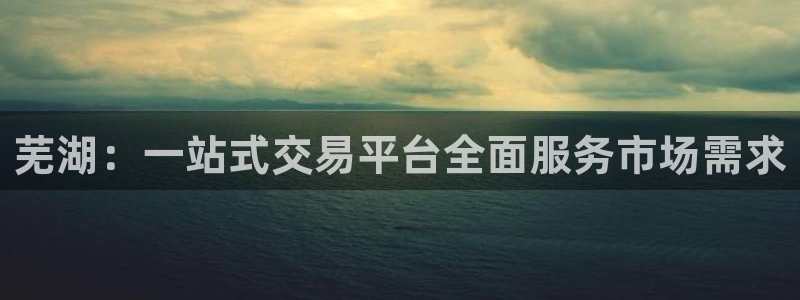 和记怡情视频官网：芜湖：一站式交易平台全面服务市场需求