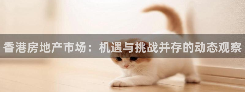 和记h88永久官网：香港房地产市场：机遇与挑战并存的动态观察