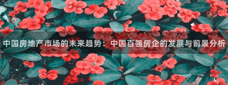 成都和记黄埔官网：中国房地产市场的未来趋势：中国百强房企的发