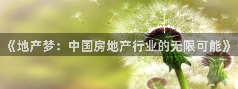 和记娱真好h88285官网：《地产梦：中国房地产行业的无限可