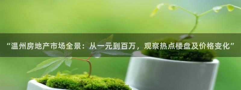 和记h188怡情官网：“温州房地产市场全景：从一元到百万，观