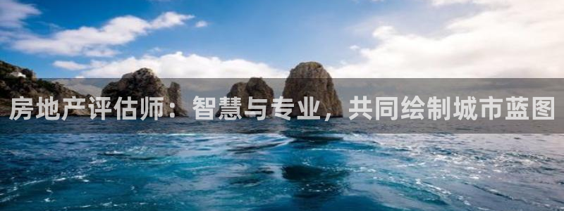 和记网址官网：房地产评估师：智慧与专业，共同绘制城市蓝图