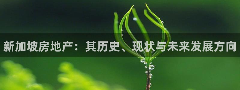 和记餐厅官网：新加坡房地产：其历史、现状与未来发展方向
