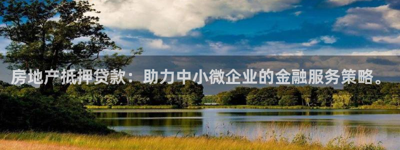 和记3卡官网是哪：房地产抵押贷款：助力中小微企业的金融服务策