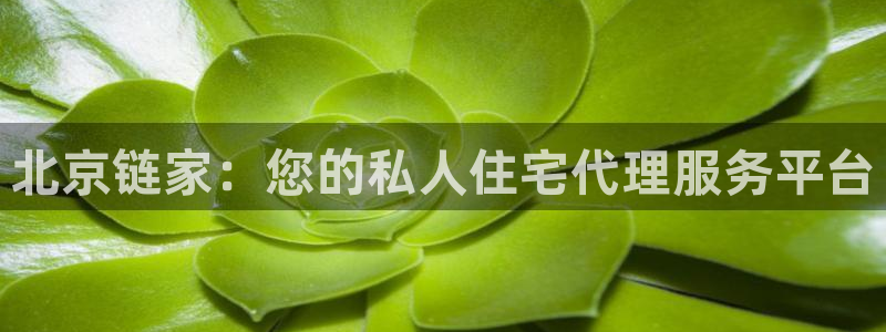 小金库钱包app下载官网和记：北京链家：您的私人住宅代理服务