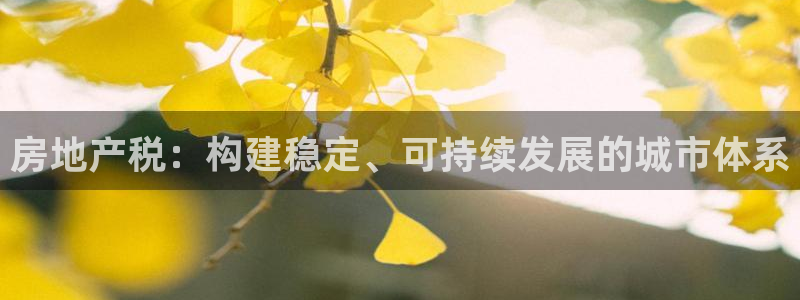 和记手机客户端官网：房地产税：构建稳定、可持续发展的城市体系