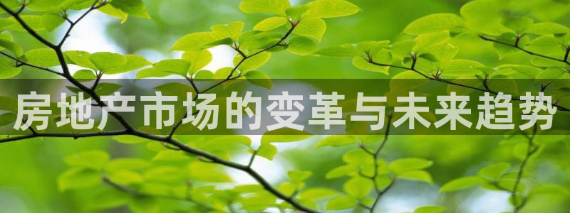 长江和记集团官网：房地产市场的变革与未来趋势