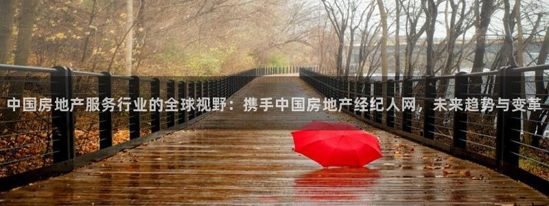 和记官网充值：中国房地产服务行业的全球视野：携手中国房地产经