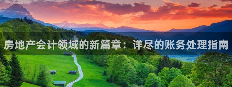 缅甸和记官网：房地产会计领域的新篇章：详尽的账务处理指南