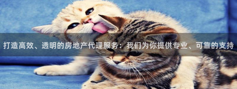 和记娱乐平台官网：打造高效、透明的房地产代理服务：我们为你提