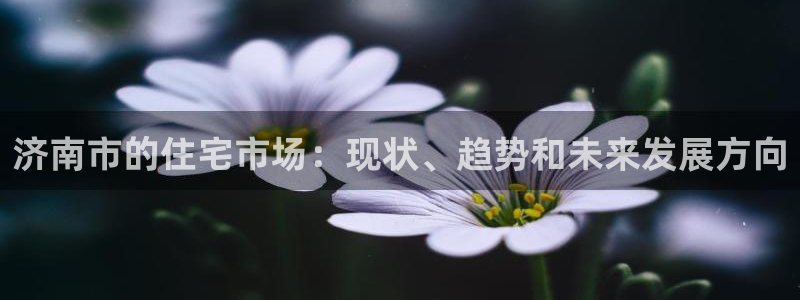 和记怡情官网电话：济南市的住宅市场：现状、趋势和未来发展方向