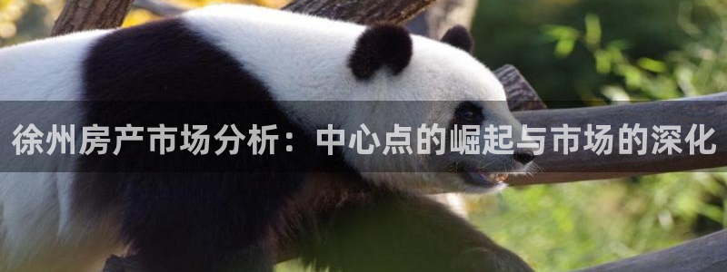 和记门店官网：徐州房产市场分析：中心点的崛起与市场的深化