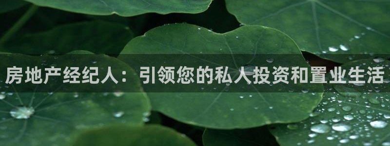 和记黄埔集团官网：房地产经纪人：引领您的私人投资和置业生活