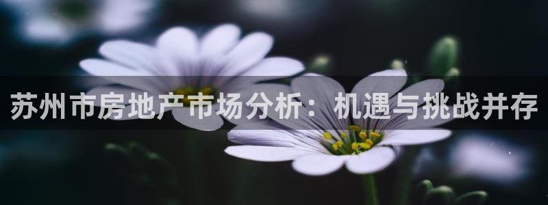 和记怡情博物官网：苏州市房地产市场分析：机遇与挑战并存