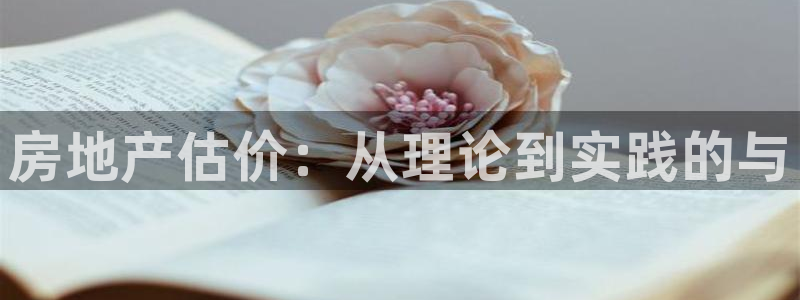 和记备用官网：房地产估价：从理论到实践的与