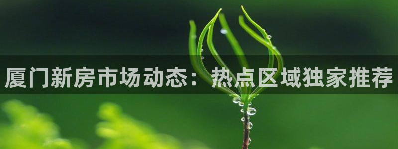 和记租车官网：厦门新房市场动态：热点区域独家推荐