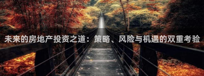 和记黄埔 成都 官网：未来的房地产投资之道：策略、风险与机遇