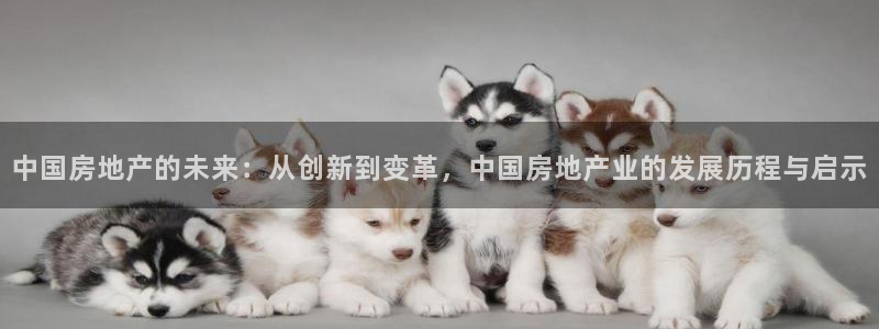 和记娱精湛h88285官网：中国房地产的未来：从创新到变革，
