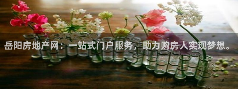 和记怡情博物官网：岳阳房地产网：一站式门户服务，助力购房人实
