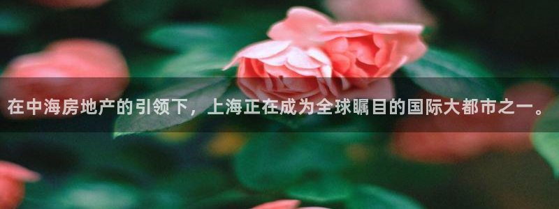 和记国际官网官网：在中海房地产的引领下，上海正在成为全球瞩目
