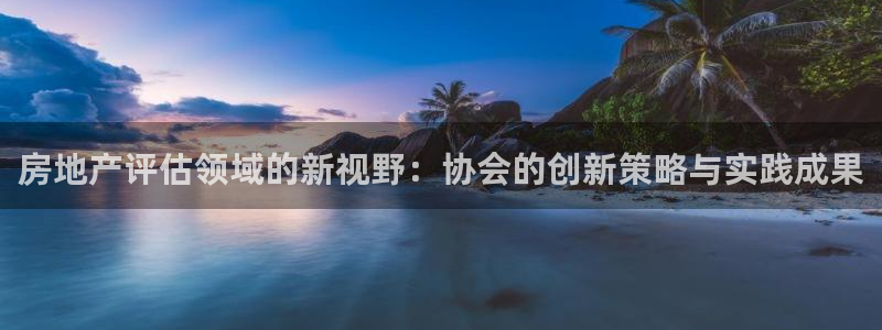 和记电讯澳门官网：房地产评估领域的新视野：协会的创新策略与实