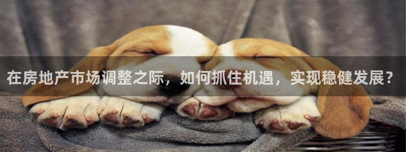 和记游戏官网：在房地产市场调整之际，如何抓住机遇，实现稳健发
