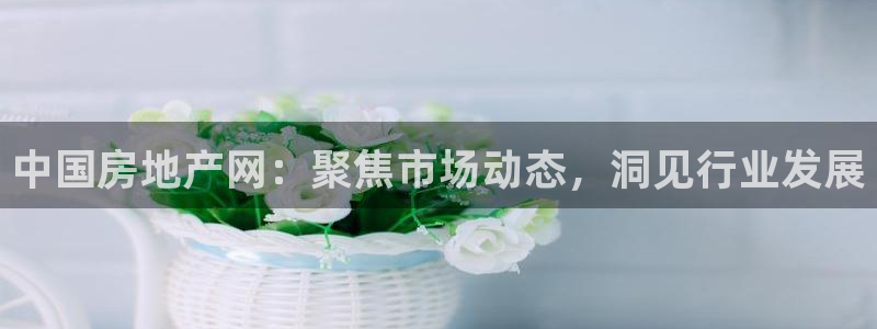 和记官网手机新版app下载：中国房地产网：聚焦市场动态，洞见