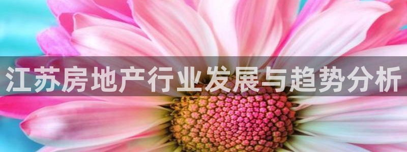 和记官网ap：江苏房地产行业发展与趋势分析