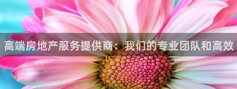 和记官网是一个什么平台：高端房地产服务提供商：我们的专业团队