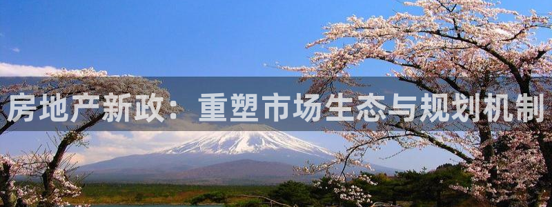 和记黄埔 成都 官网：房地产新政：重塑市场生态与规划机制