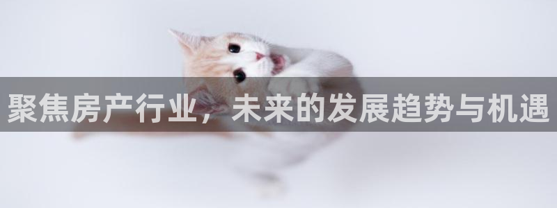 长江和记集团官网：聚焦房产行业，未来的发展趋势与机遇