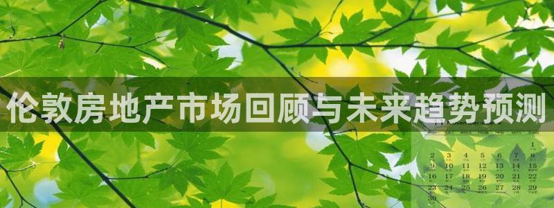 和记万佳国际家居城官网：伦敦房地产市场回顾与未来趋势预测
