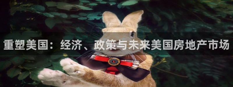 和记hgc官网：重塑美国：经济、政策与未来美国房地产市场