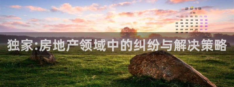 和记国际官网电话：独家:房地产领域中的纠纷与解决策略