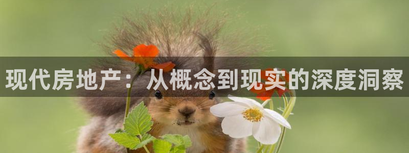 和记国际官网：现代房地产：从概念到现实的深度洞察