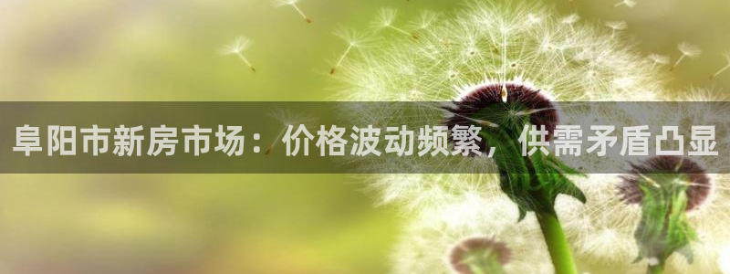 和记官网平台入口：阜阳市新房市场：价格波动频繁，供需矛盾凸显