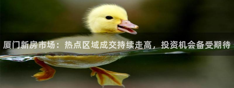 3和记官网：厦门新房市场：热点区域成交持续走高，投资机会备受